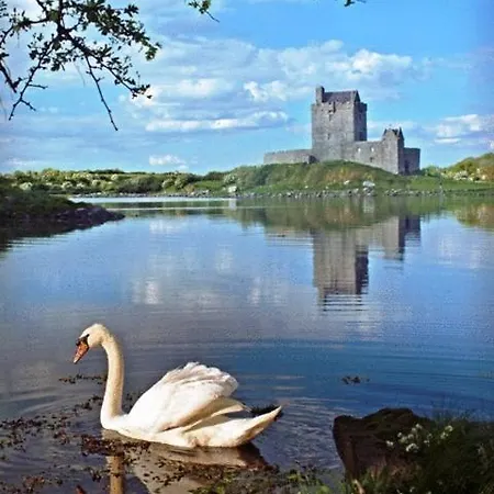 Pensjonat Kinvara Guesthouse 4*