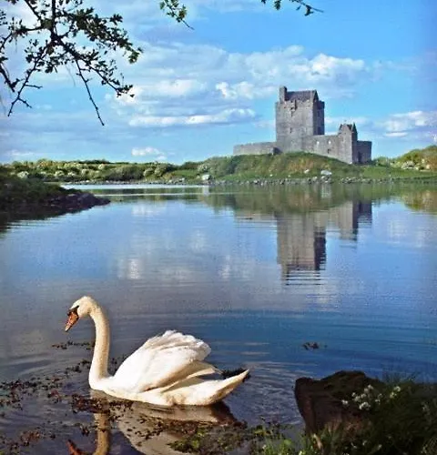 Guest house Kinvara Guesthouse 4*